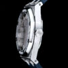 Audemars Piguet Watch Reference Pending Blue