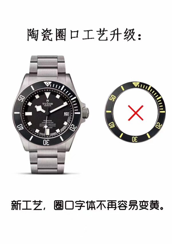 Tudor Watch Reference Pending