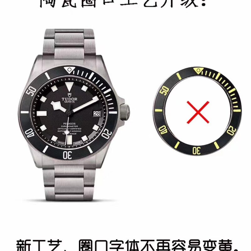 Tudor Watch Reference Pending
