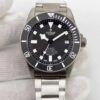 Tudor Watch Reference Pending