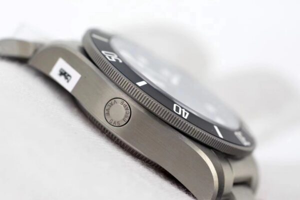 Tudor Watch Reference Pending