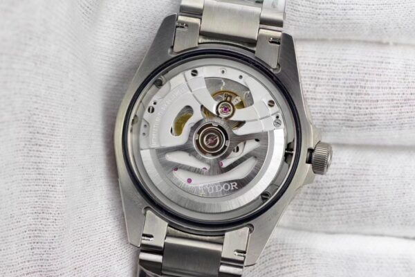Tudor Watch Reference Pending