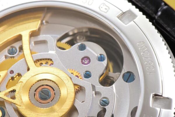 Patek Philippe Watch 89010 Blue