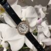 Patek Philippe Watch Reference Pending Blue