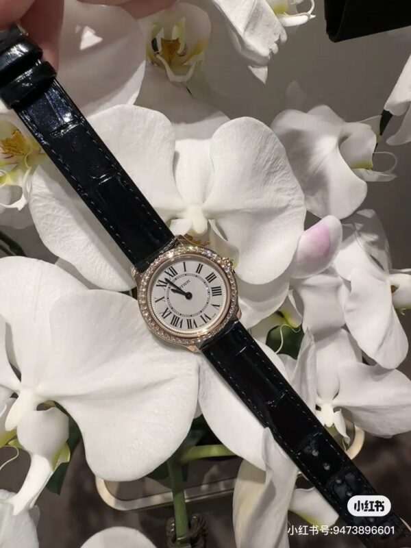 Patek Philippe Watch Reference Pending Blue