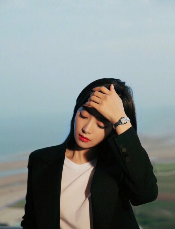 Cartier Panthere (PANTHERE) Red