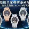 Audemars Piguet Watch RM (RM)