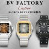 a1733065965156_7527-3.jpg Cartier Santos 9019 Smoked
