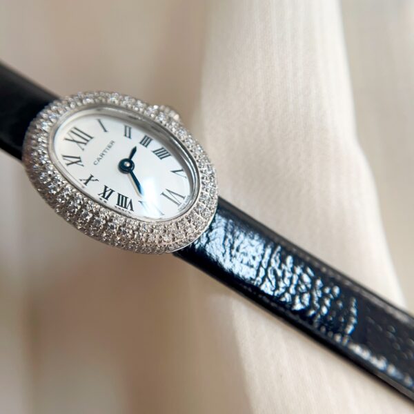 Cartier Watch Reference Pending Blue