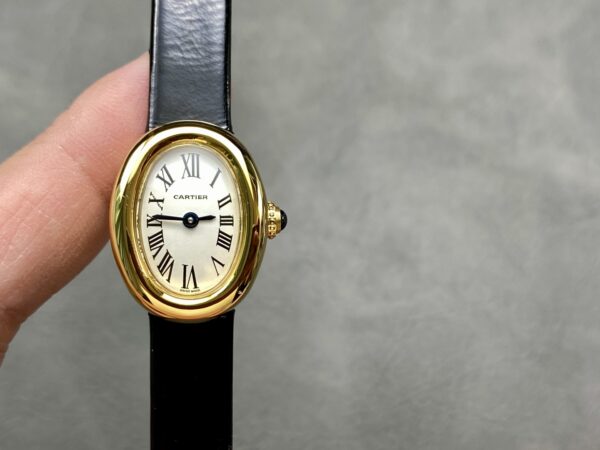 Cartier Watch Reference Pending