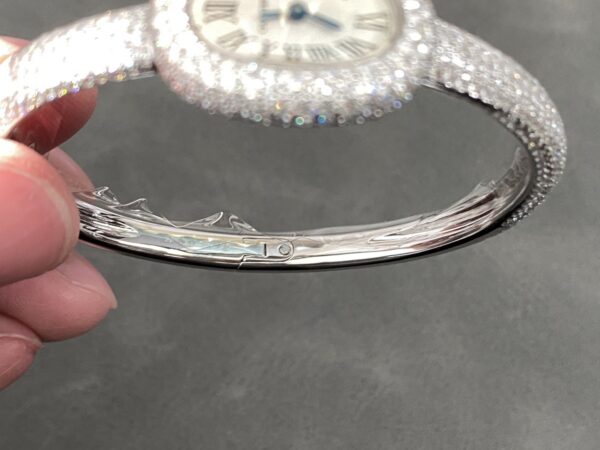 Cartier Watch Reference Pending