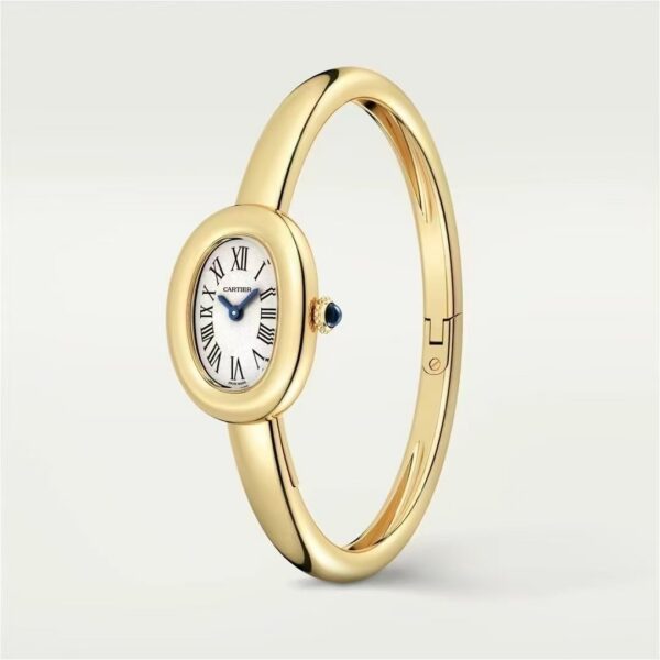 a1736345260349_7038-3.jpg Cartier Watch Reference Pending