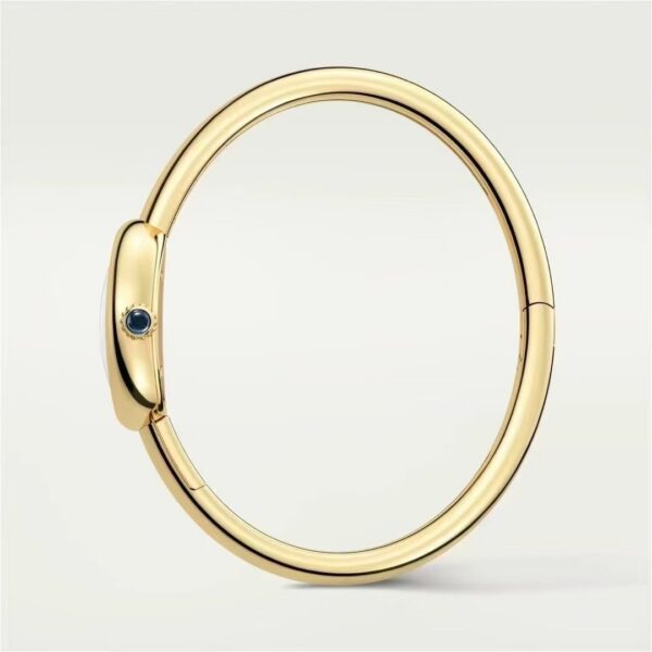 a1736345260350_6114-3.jpg Cartier Watch Reference Pending