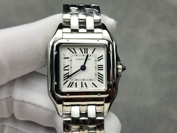 a1739803254334_6326.jpg Cartier Panthere (PANTHERE) Blue