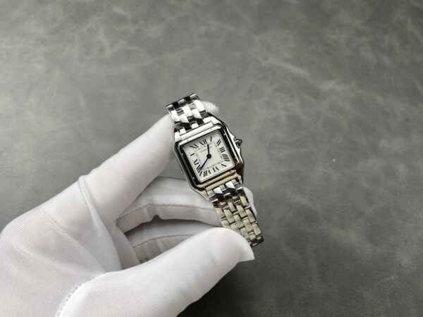 a1739803254334_6661.jpg Cartier Panthere (PANTHERE) Blue