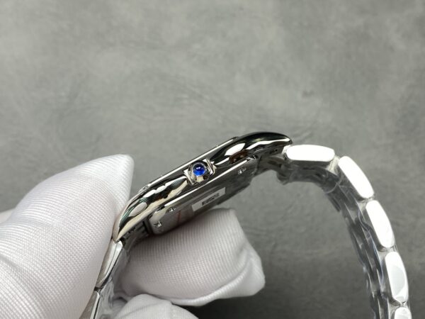 a1739803255896_0421.jpg Cartier Panthere (PANTHERE) Blue