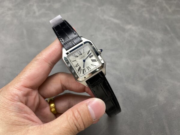 Cartier Santos (SANTOS) Blue