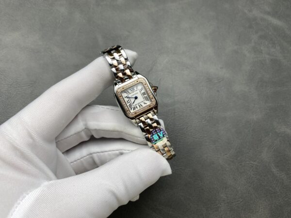 Cartier Panthere (PANTHERE) Blue