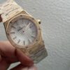 Audemars Piguet Watch Reference Pending