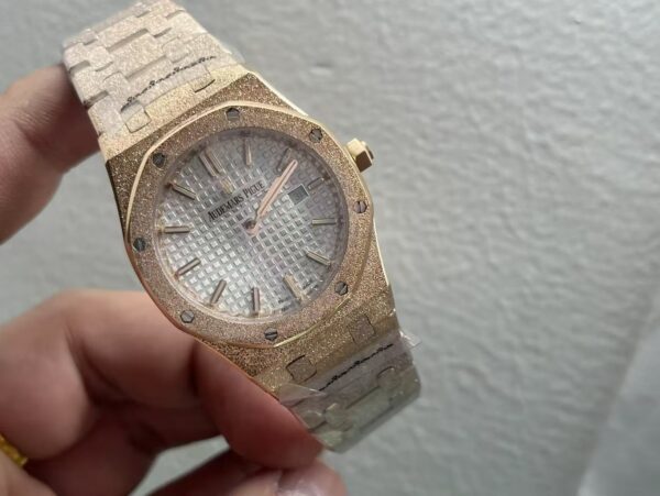 Audemars Piguet Watch Reference Pending