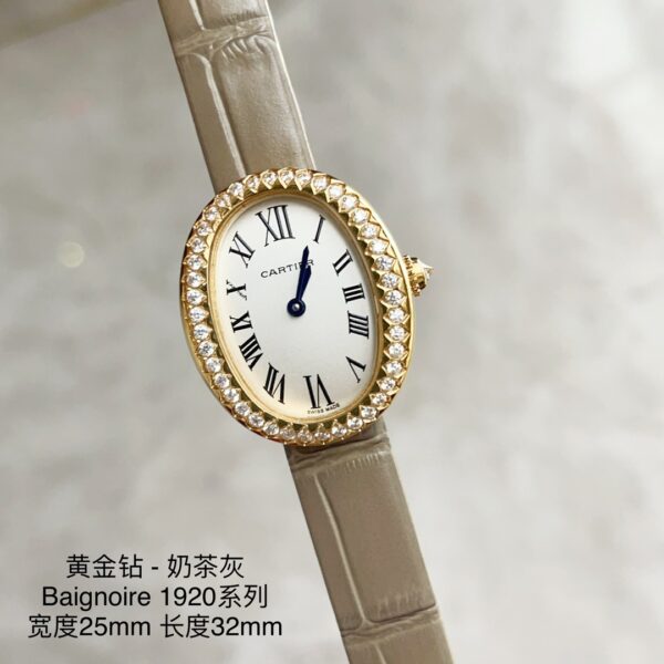 Cartier Watch 1920 Blue