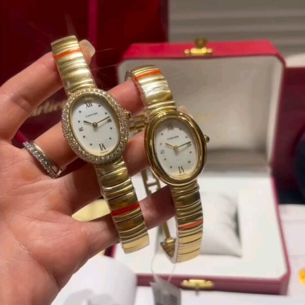 Cartier Watch 1920 Blue