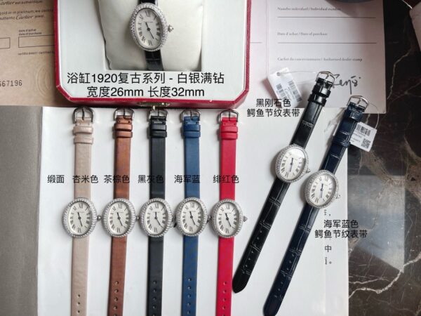 Cartier Watch 1920 Blue