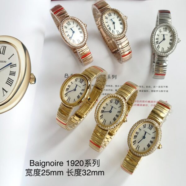 Cartier Watch 1920 Blue