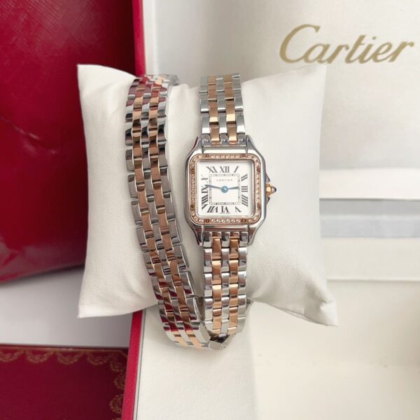 a1741267469836_2767-3.jpg Cartier Panthere (PANTHERE) Blue