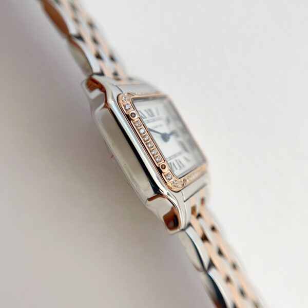 a1741267481039_8348-3.jpg Cartier Panthere (PANTHERE) Blue