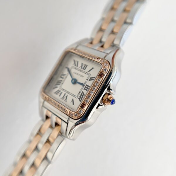 a1741267481041_8635-3.jpg Cartier Panthere (PANTHERE) Blue