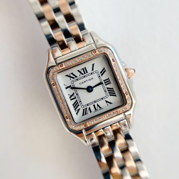 a1741267484091_5655-3.jpg Cartier Panthere (PANTHERE) Blue