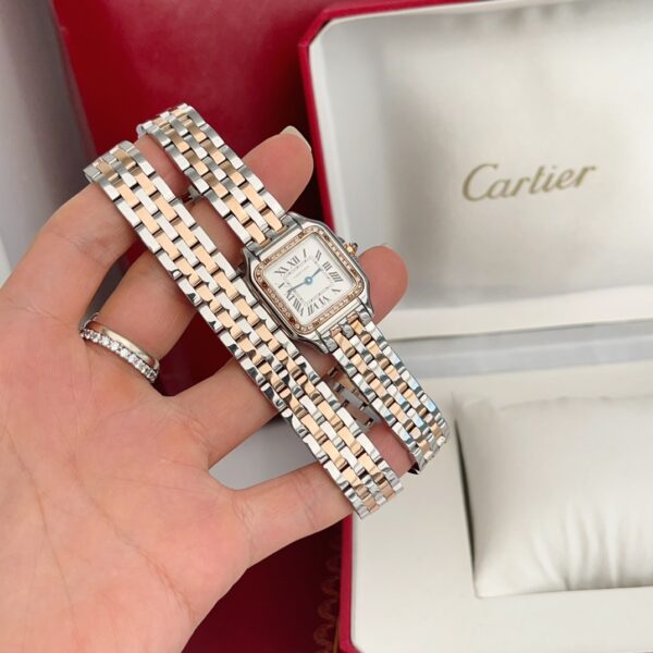 a1741267484099_3188-3.jpg Cartier Panthere (PANTHERE) Blue