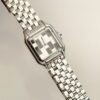 Cartier Panthere (PANTHERE) Blue