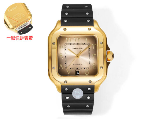 Cartier Santos (SANTOS)