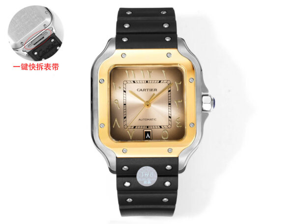Cartier Santos (SANTOS)