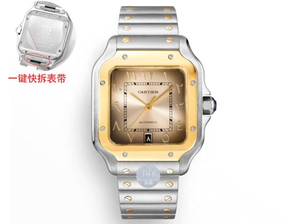 Cartier Santos (SANTOS)