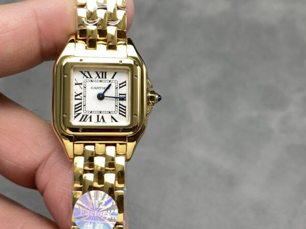 Cartier Panthere (PANTHERE) Blue