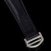 Cartier Tank (TANK) Blue