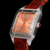a1761169467409_1034-3.jpg Cartier Santos (SANTOS) Smoked