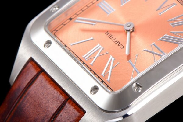 a1761169469076_7234-3.jpg Cartier Santos (SANTOS) Smoked