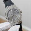 Audemars Piguet Royal Oak 15510 Gray
