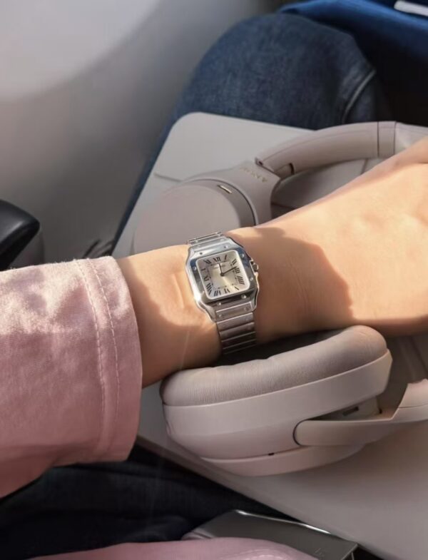 a1773167576602_3847-3.jpg Cartier Santos (SANTOS) Blue