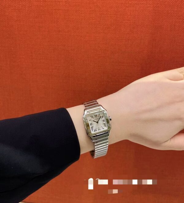 a1773167576603_2361-3.jpg Cartier Santos (SANTOS) Blue