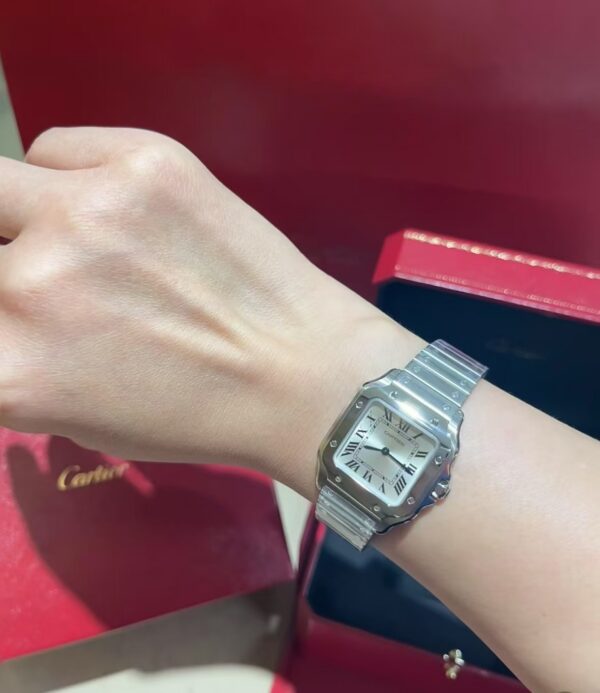 a1773167576604_4071-3.jpg Cartier Santos (SANTOS) Blue