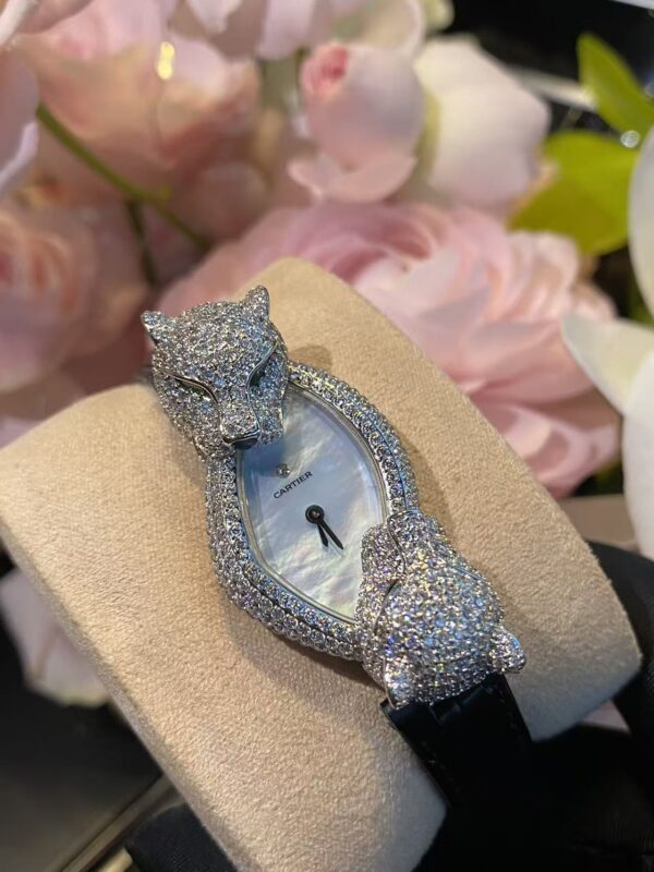 Cartier Watch