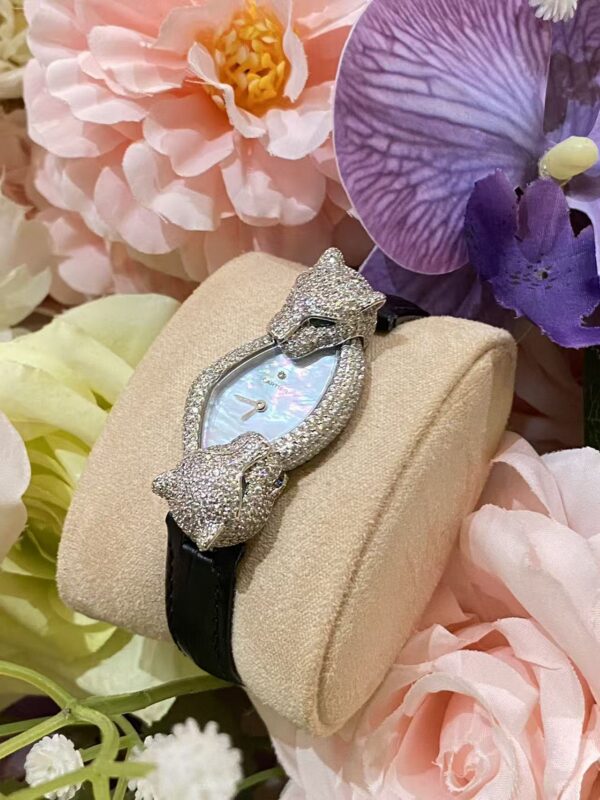 Cartier Watch