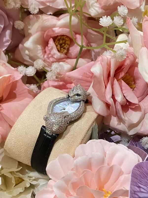 Cartier Watch