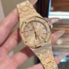 Audemars Piguet Watch Salmon