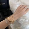 Audemars Piguet Watch Salmon